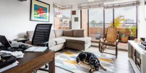 organizar espaço pet em apartamento