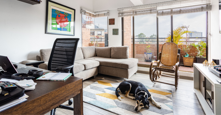 organizar espaço pet em apartamento