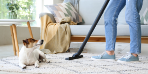 truques de limpeza para donos de pets