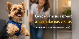Yorkshire Terrier feliz correndo com pessoas sorrindo ao fundo