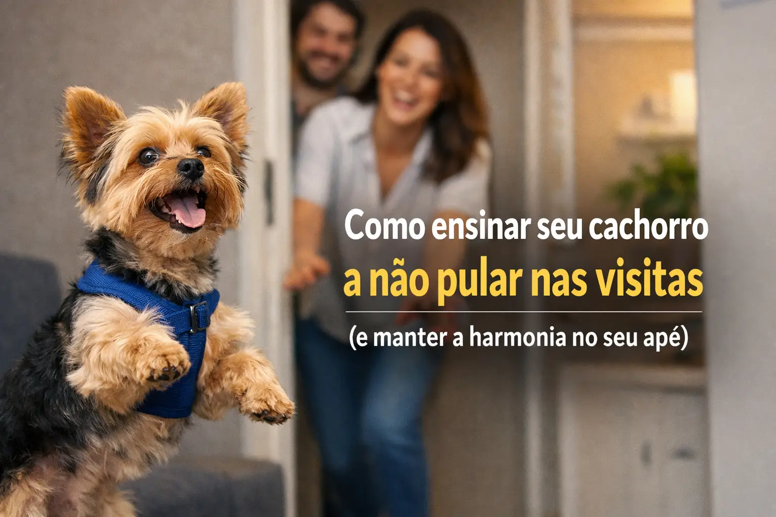 Yorkshire Terrier feliz correndo com pessoas sorrindo ao fundo