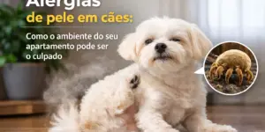 Cão coçando a orelha com inseto, alergias de pele