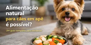 Cachorro feliz ao lado de tigela de comida natural colorida