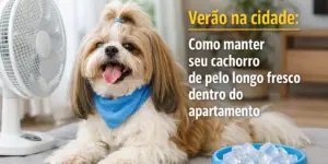 Cachorro feliz com bandana azul e tigela de gelo, verão na cidade