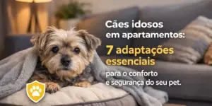Cachorro idoso em cama com cobertor e texto sobre conforto