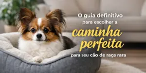 Cachorro de raça rara em cama aconchegante com texto em português