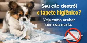 Cachorro fofo rasgando absorvente no quarto aconchegante