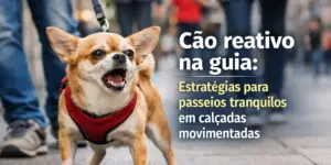Cão criativo na guia: passeio urbano em calçadas movimentadas