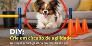 cachorro brincalhão pulando aro em casa com cones e sofá