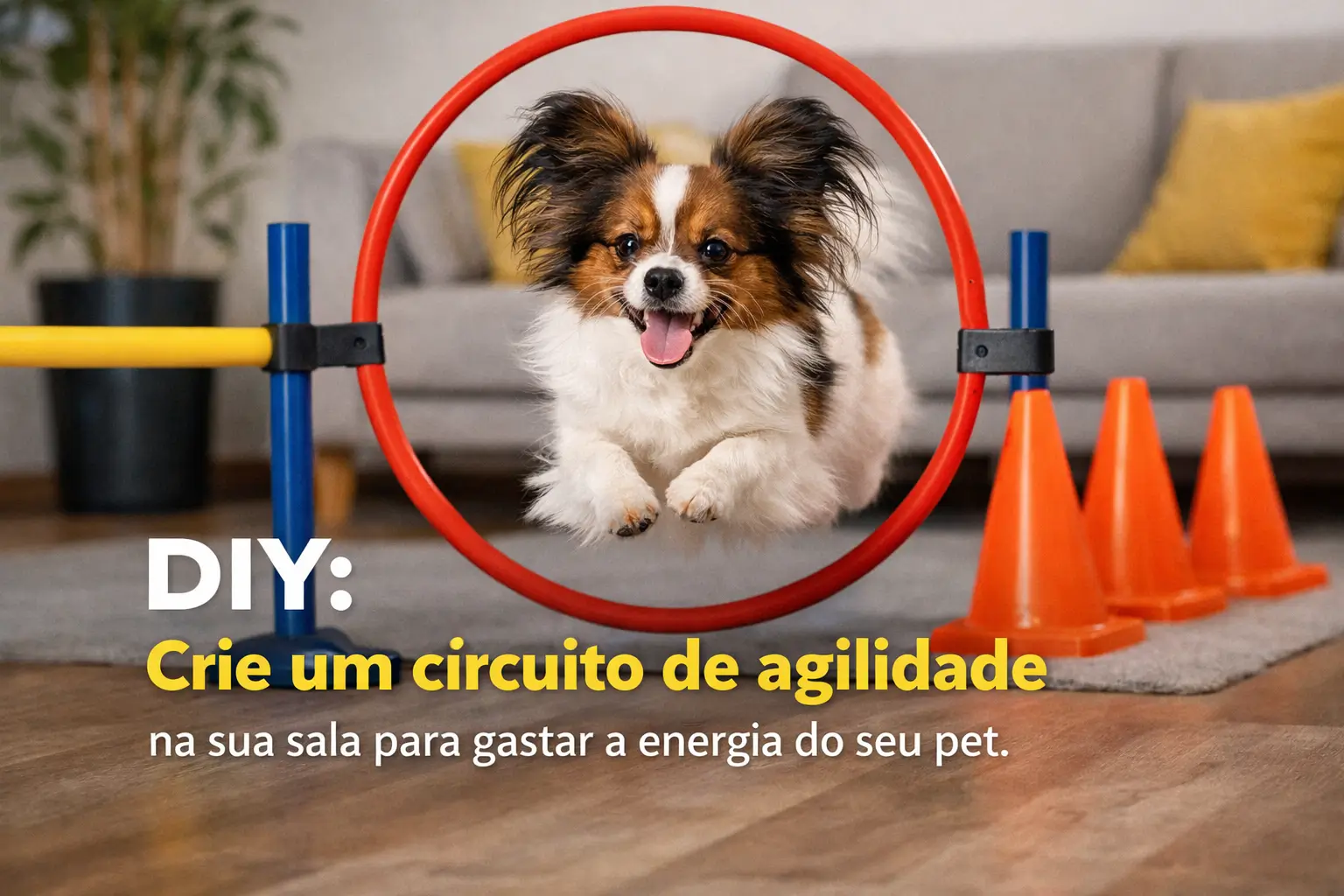 cachorro brincalhão pulando aro em casa com cones e sofá