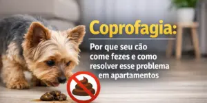 Yorkshire Terrier examinando fezes com símbolo de proibição