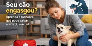 Mulher ajudando cão com kit de primeiros socorros e esteto