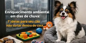 Cachorro feliz com brinquedos em dia chuvoso em São Paulo