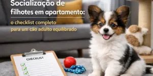 Filhote fofo em tapete com brinquedos e checklist ao lado