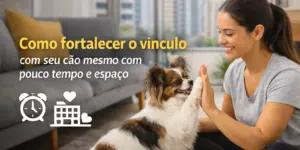 Mulher e cachorro brincando em sala com vista da cidade