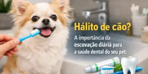 Cachorro pequeno com escova de dentes azul na boca em banheiro