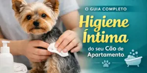 Yorkshire Terrier sendo limpo com foco em higiene para cães