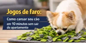 Chihuahua em tapete de enriquecimento verde e cinza procurando petiscos