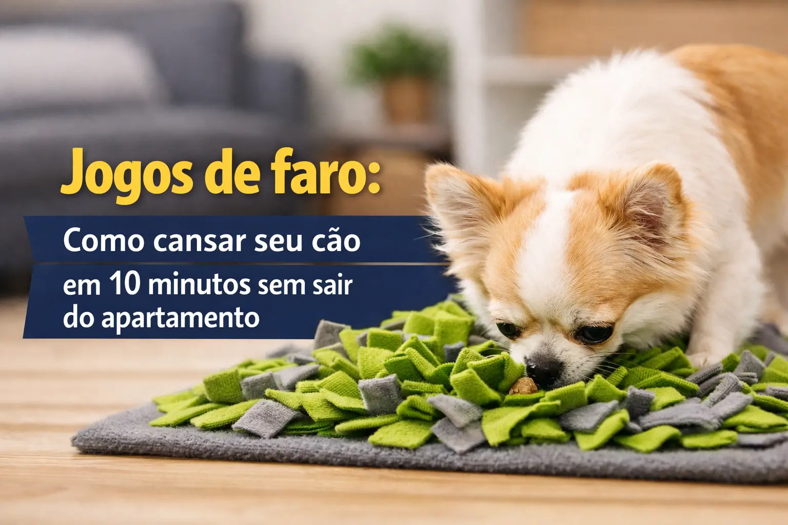 Chihuahua em tapete de enriquecimento verde e cinza procurando petiscos