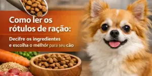 Cachorro alegre com ração e ingredientes ao fundo para 2026