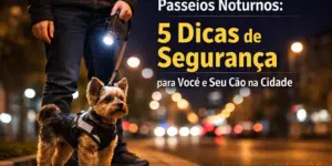 Pessoa e cachorro em passeio noturno urbano iluminado