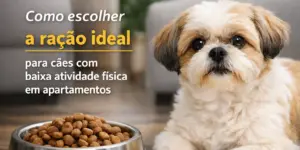 Cachorro pequeno comendo em apartamento: ração ideal
