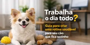 Cachorro fofo em uma cama com brinquedo e ursinho, orientações para cães sozinhos