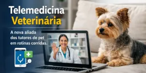 Cão pequeno olhando para laptop com veterinário e telemedicina em destaque