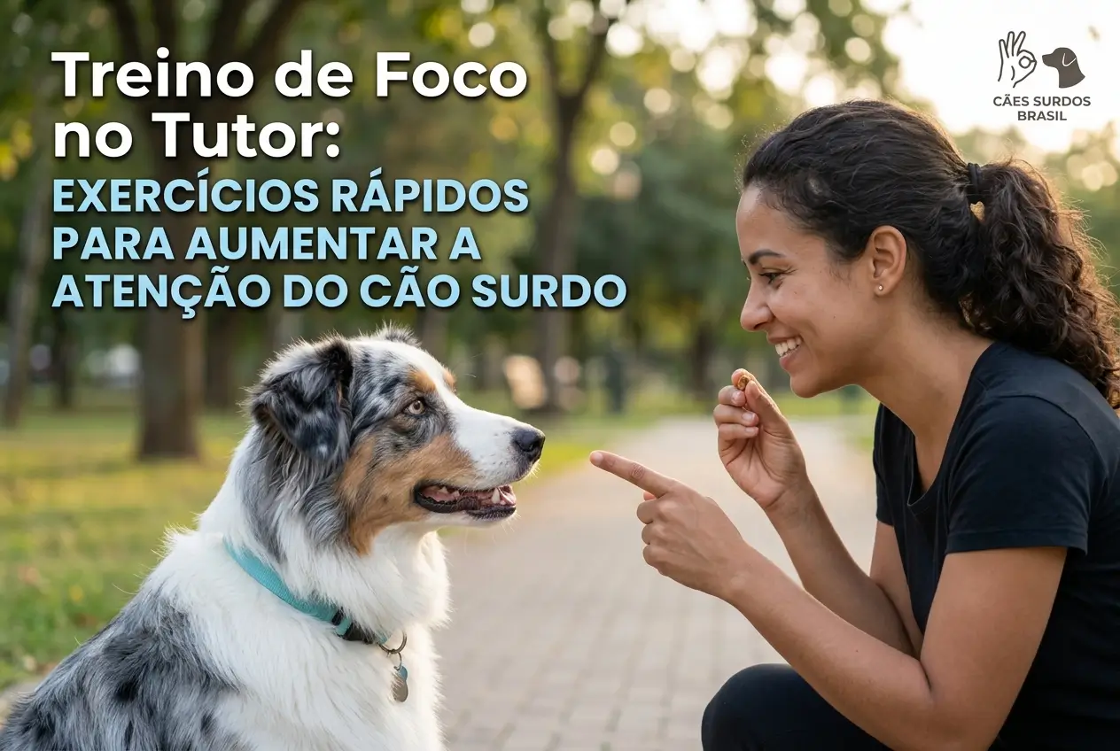 Mulher e cão surdo em treino de foco no parque